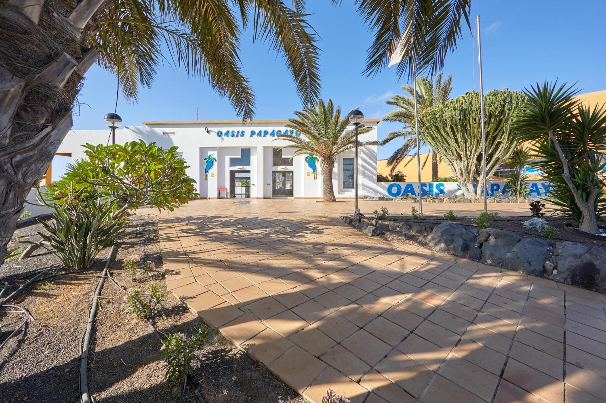 Apartamento Samira Fuerteventura Corralejo Extérieur photo